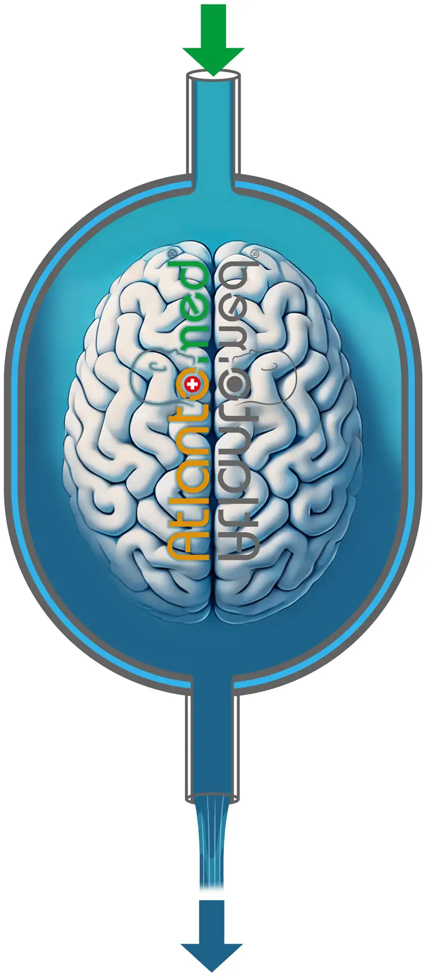 Cerebrospinalvätska